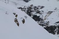 Avalanche Haute Maurienne, Bessans - Photo 5 - © Alain Duclos